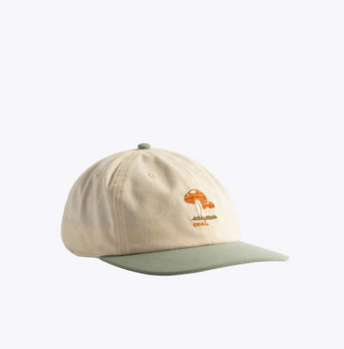 The Evergreen Vintage 6-Panel Cap