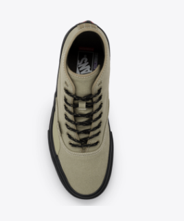 Skate Authentic High