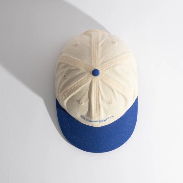 The Evergreen Vintage 6-Panel Cap