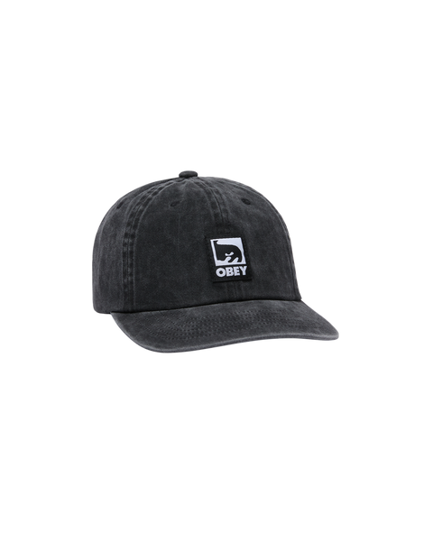 Pigment Label 6 Panel Hat
