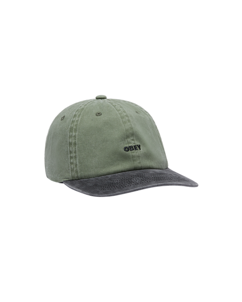 Pigment Bold 6 Panel Hat