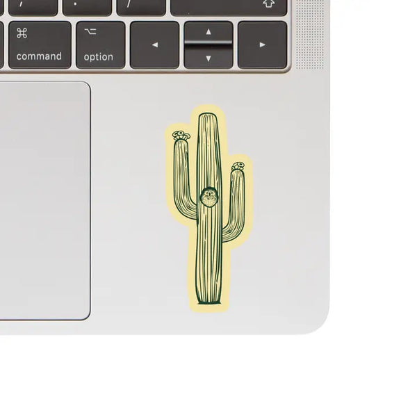 Desert Cactus