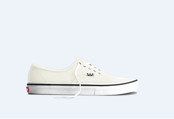 Skate Authentic Shoes