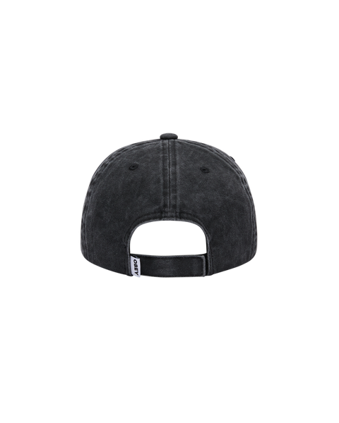 Pigment Label 6 Panel Hat
