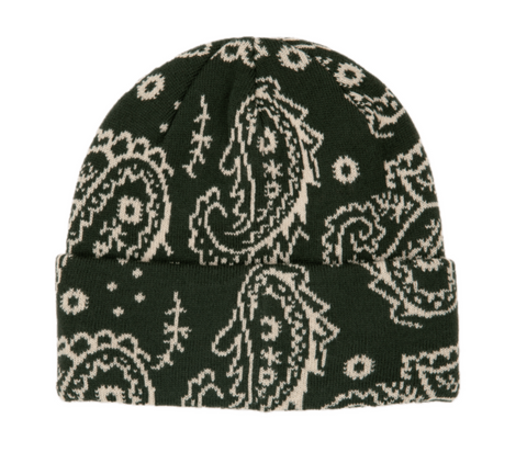 Paisley Beanie
