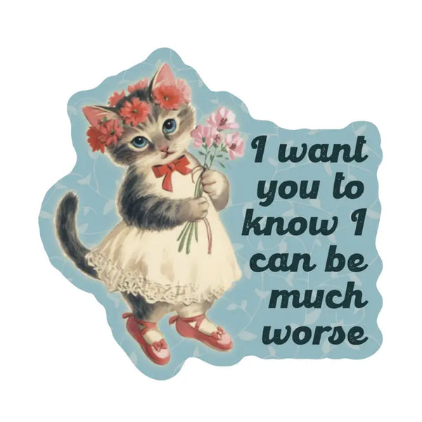 Fiesty Kitty