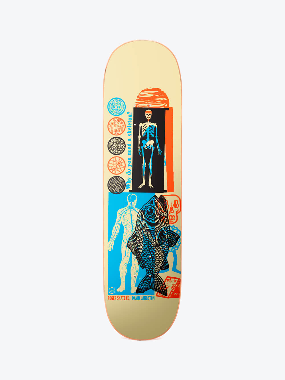 Roger Skeleton Dave Langston Deck