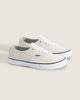 Skate Authentic Shoes