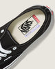 Skate Authentic Shoes