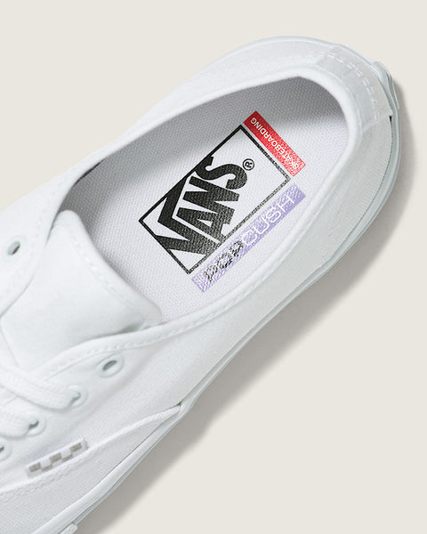 Skate Authentic Shoes