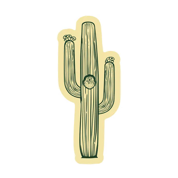 Desert Cactus