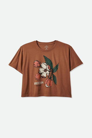 Brixton Apple Blossom Short Sleeve Boxy Tee - Bison