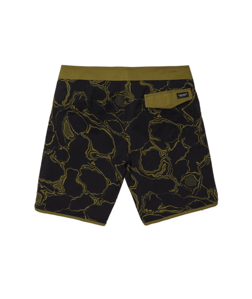 Infuse Scallop Mod 19" Boardshorts