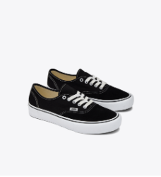 Skate Authentic Shoes