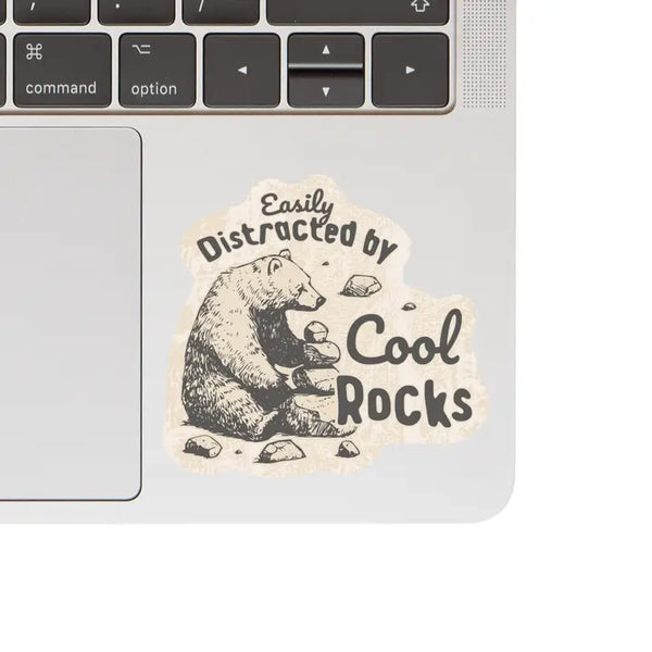 Distracted By Rocks