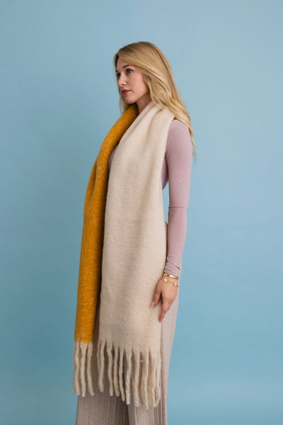 Cozy Two Tone Scarf