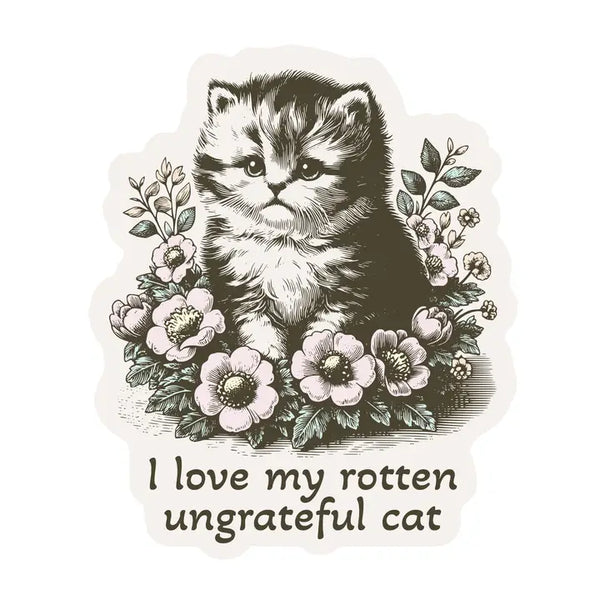 Rotten Kitten
