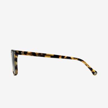 Electric Birch Polarized Sunglasses