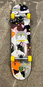 Enjoi Cat Collage First Push Complete 7.0