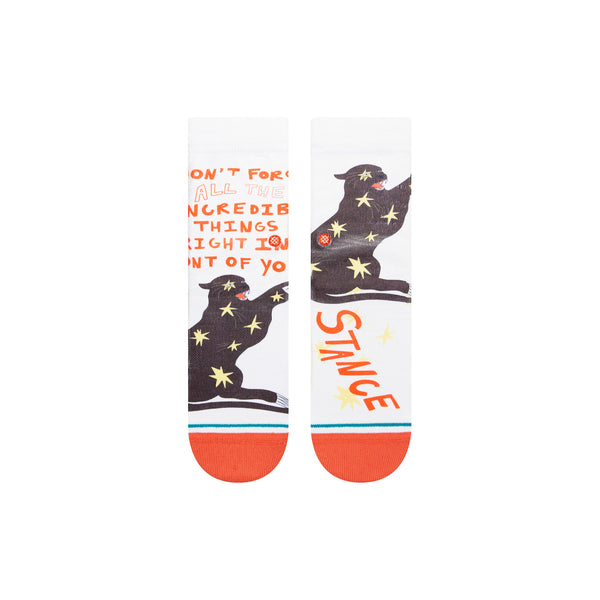Stance Incredible Things Crew Sock