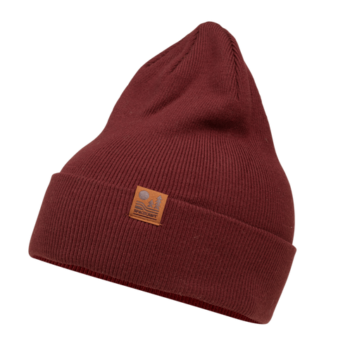 Spacecraft Otis Beanie - Raisin